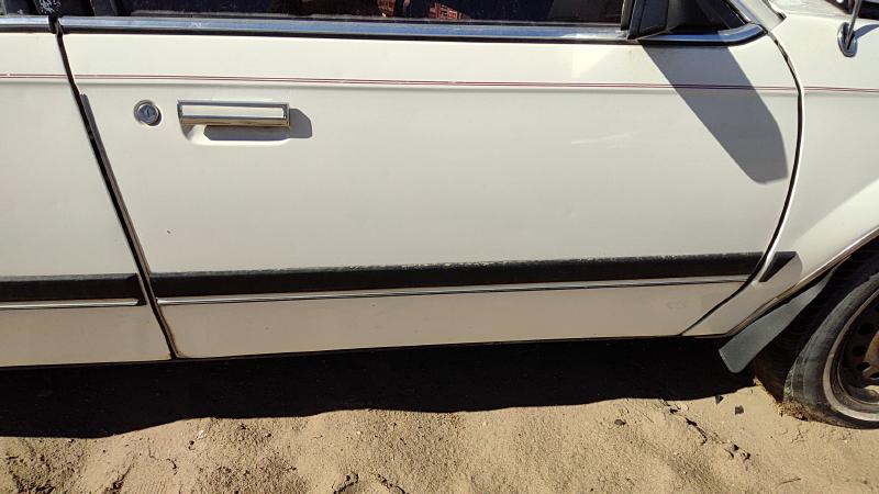 1982-1989 Buick Century Front Door RH