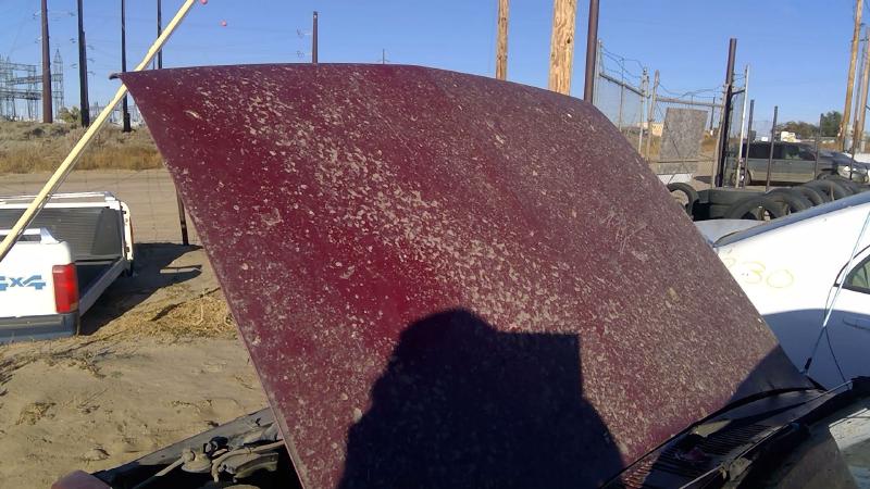 1981-1987 Isuzu Pickup Hood