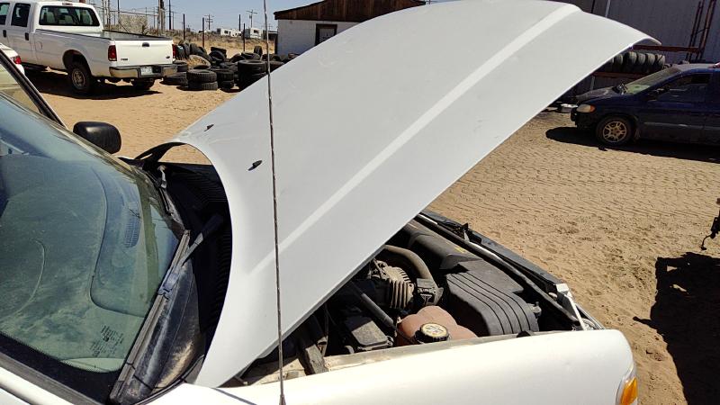 2002-2005 Explorer Hood