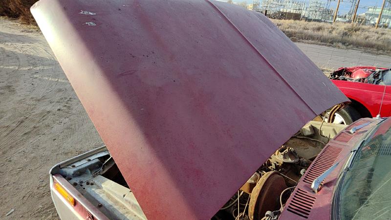 1973-1979 Ford Pickup F150 Series Hood