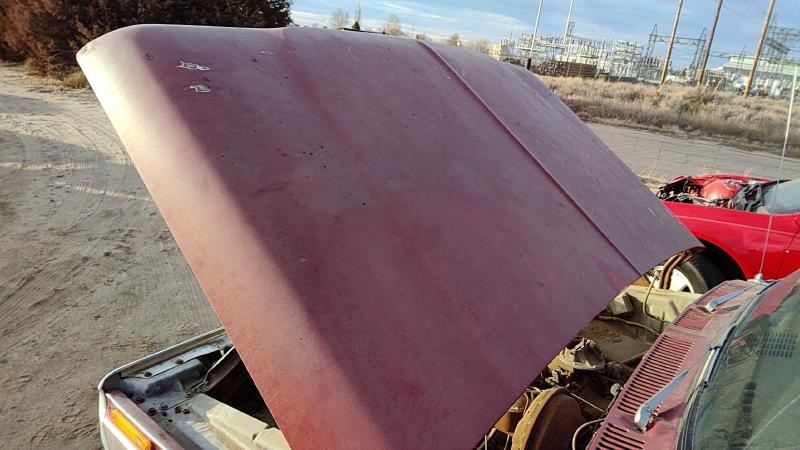 1973-1979 Ford Pickup F150 Series Hood