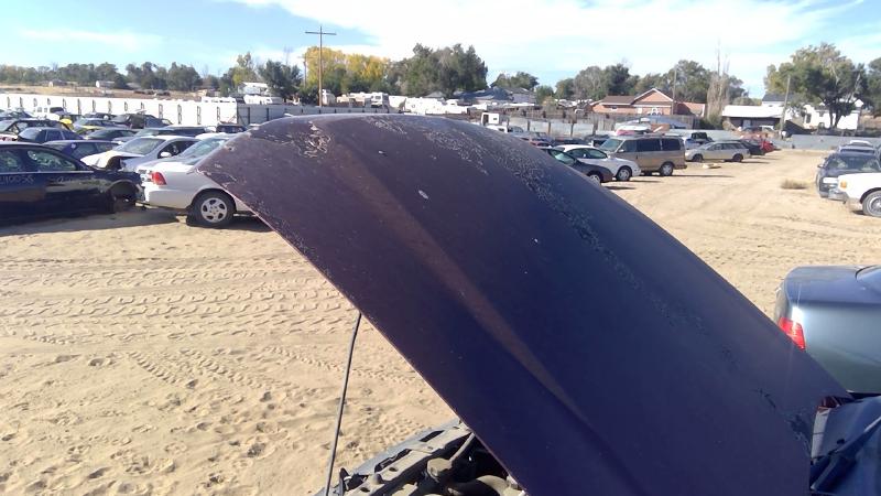 2002-2009 Chevrolet Trail Blazer (113 W.b.) Hood