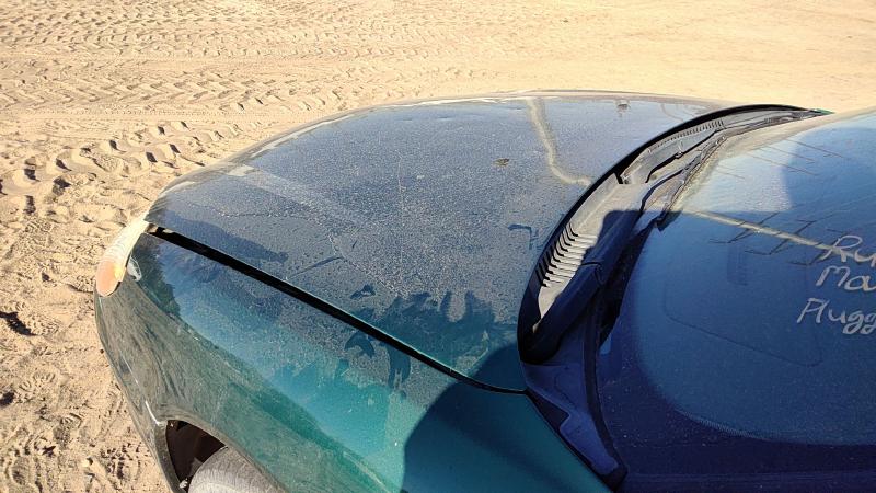 2000-2007 Ford Taurus(see Also Taurus X) Hood