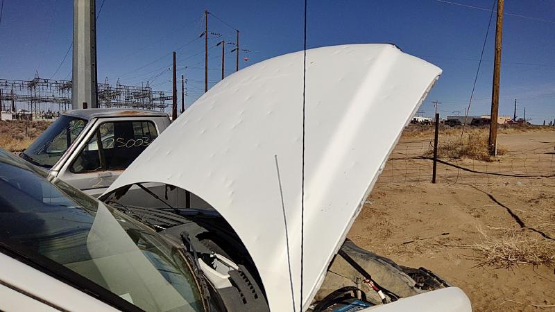 2004-2008 Ford Pickup F150 Series Hood
