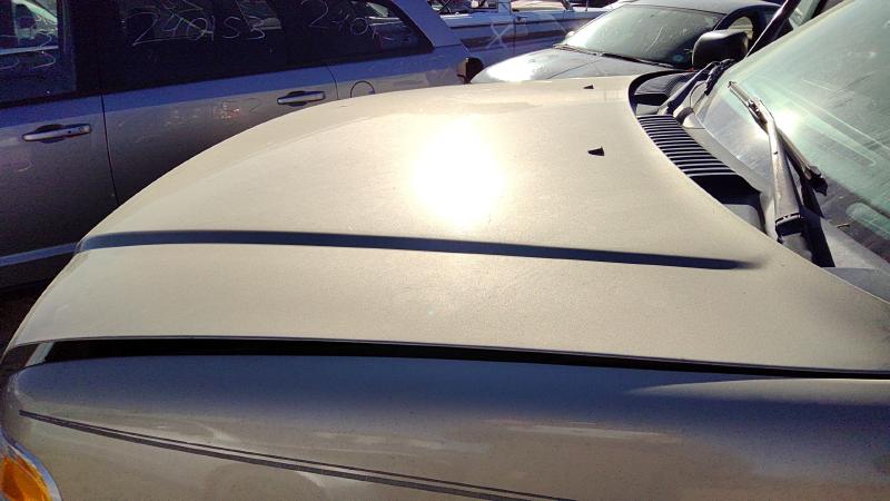 2002-2005 Explorer Hood