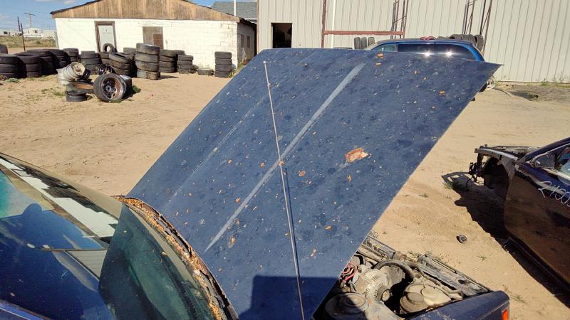 1983-1986 Toyota Camry Hood