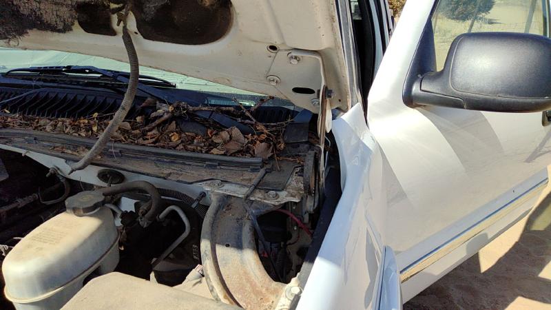 1999-2007 GMC Sierra 1500 Pickup Hood Hinge RH