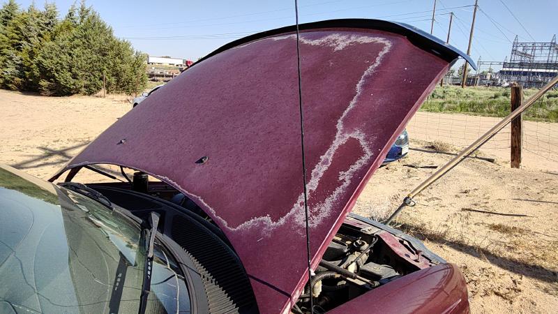 1997-2004 Ford Expedition Hood