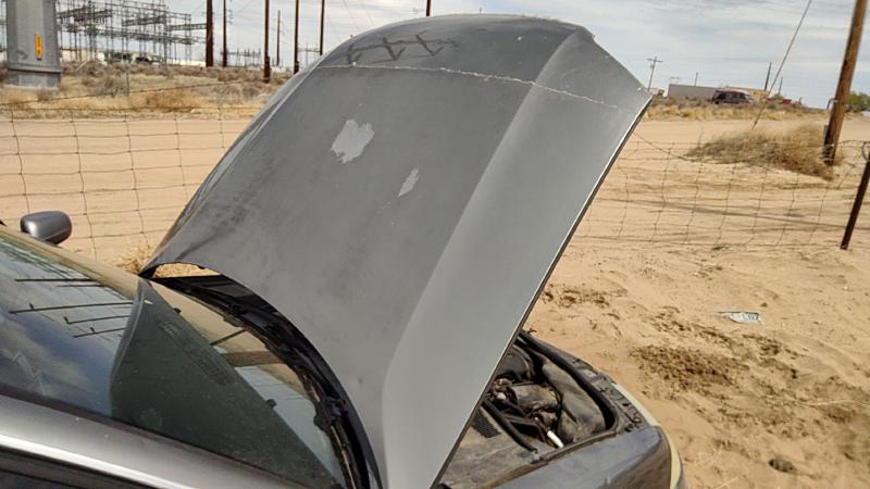 2001-2005 (discontinued) Passat Hood
