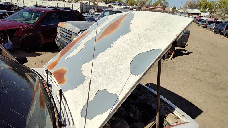 1982-1996 Buick Century Hood