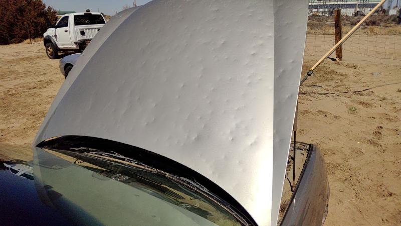 1997-2005 Buick Park Avenue (80&up) Hood