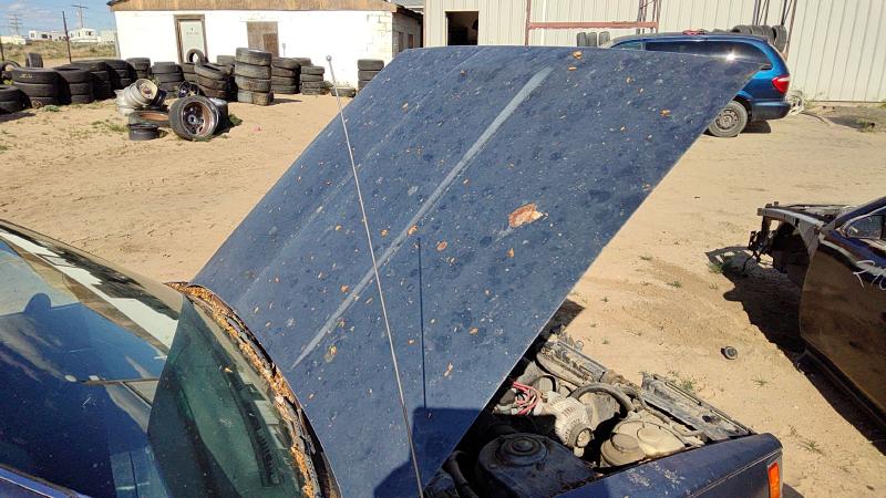 1983-1986 Toyota Camry Hood