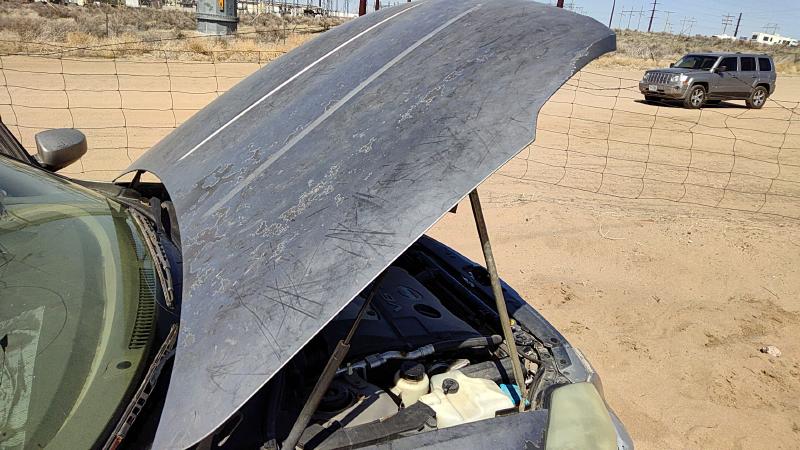 2004-2006 Nissan Maxima Hood