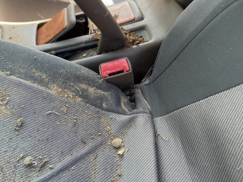 1999 Toyota Camry Front Seat Belt LH