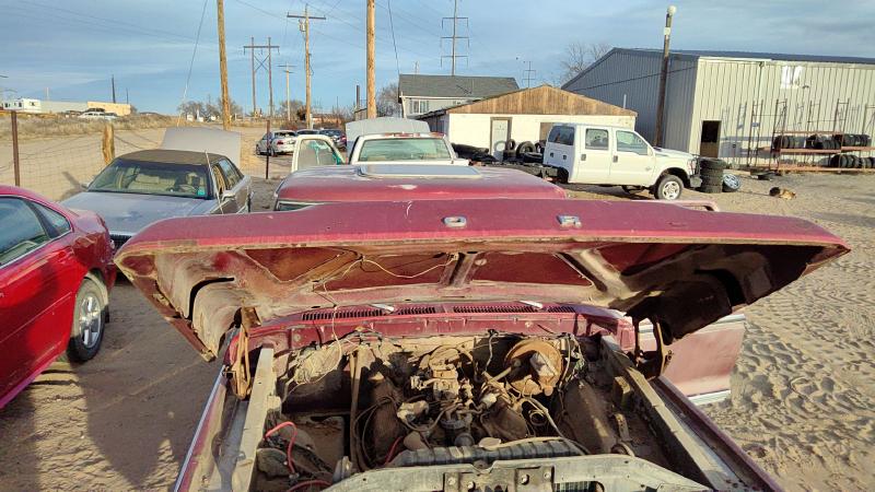 1973-1979 Ford Pickup F150 Series Hood