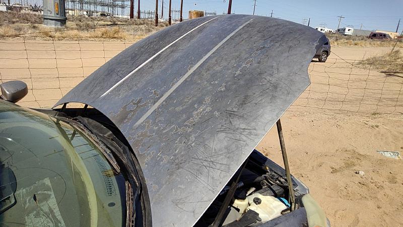 2004-2006 Nissan Maxima Hood