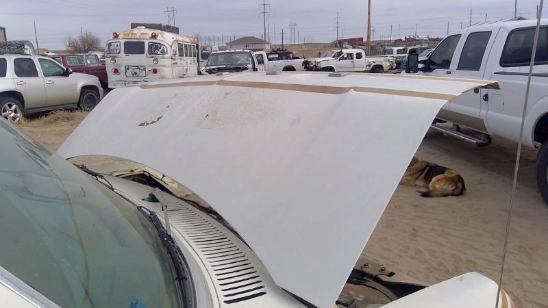 1975-1991 Ford Van E250 Hood
