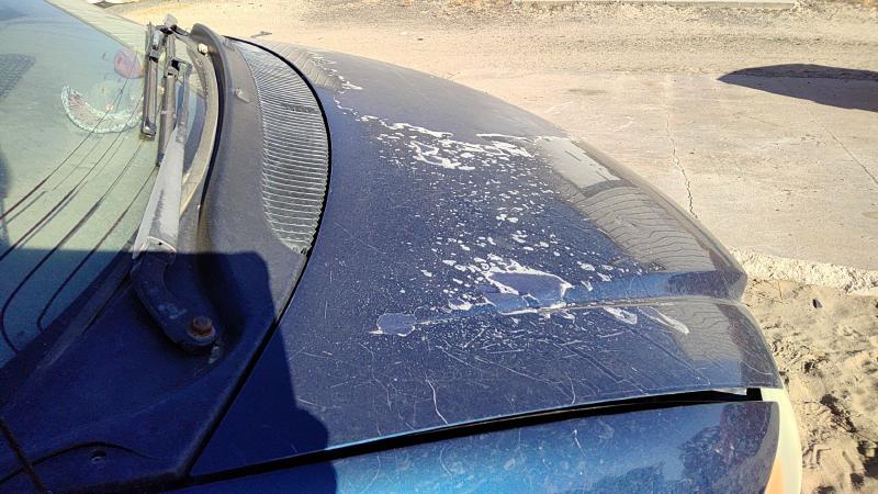 2001-2007 Dodge Caravan Hood