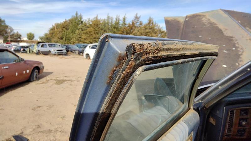 1980-1989 Cadillac Deville (80 & Up) Front Door LH