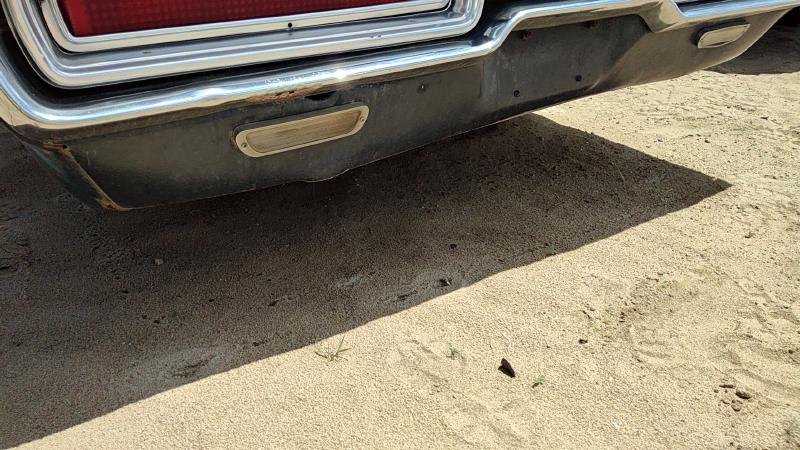 2064-2066 Thunderbird Rear Bumper Assembly