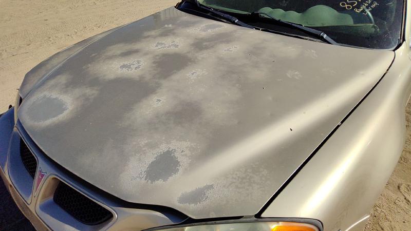 1999-2005 Pontiac Grand Am Hood