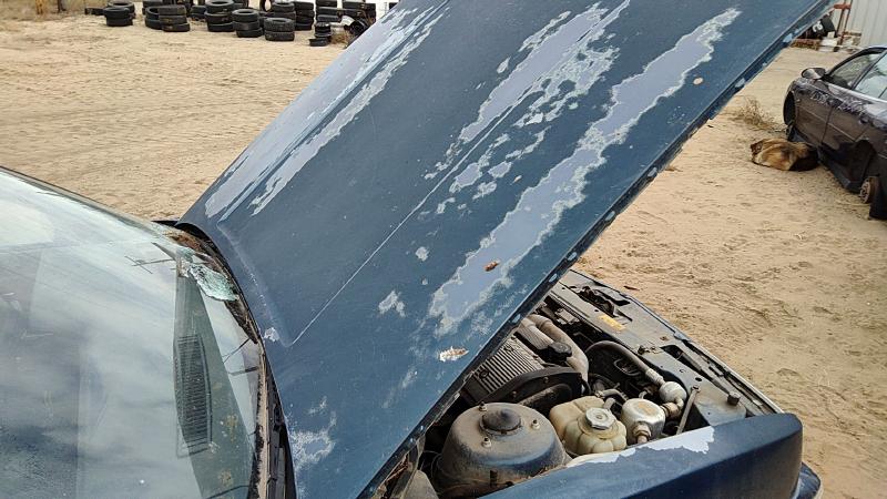 1989-1991 Oldsmobile Calais Hood
