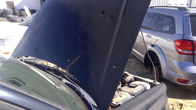2001-2002 Subaru Forester Hood