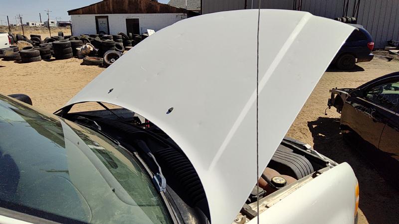 2002-2005 Explorer Hood