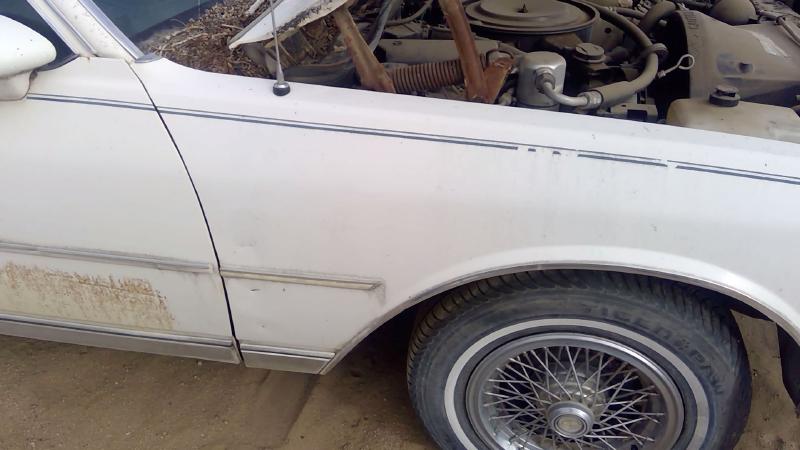 1980-1990 Chevrolet Caprice (80 & Up) Fender RH