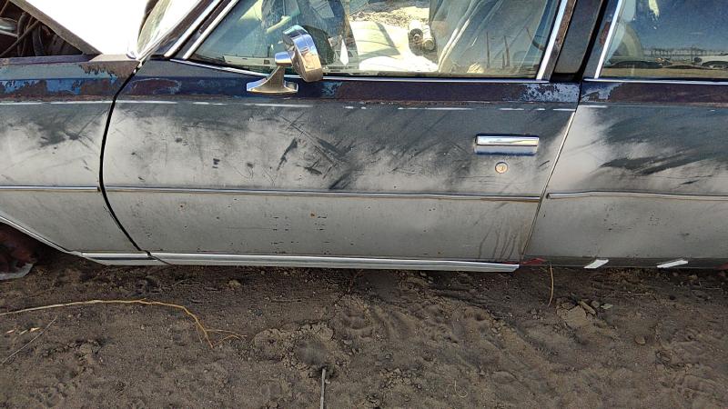 1977-1979 Chevrolet (full Size) Front Door LH