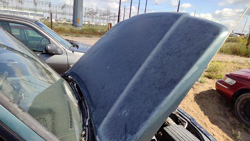 1996-1998 Suzuki Sidekick Hood