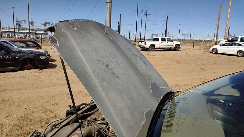 2000-2005 Cadillac Deville (80 & Up) Hood