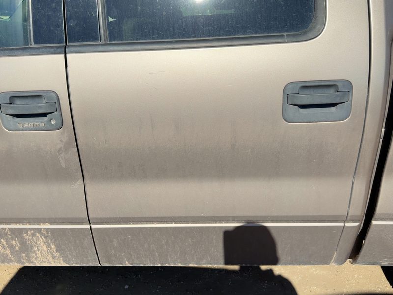 2004-2005 Ford Pickup F150 Series Rear Door LH