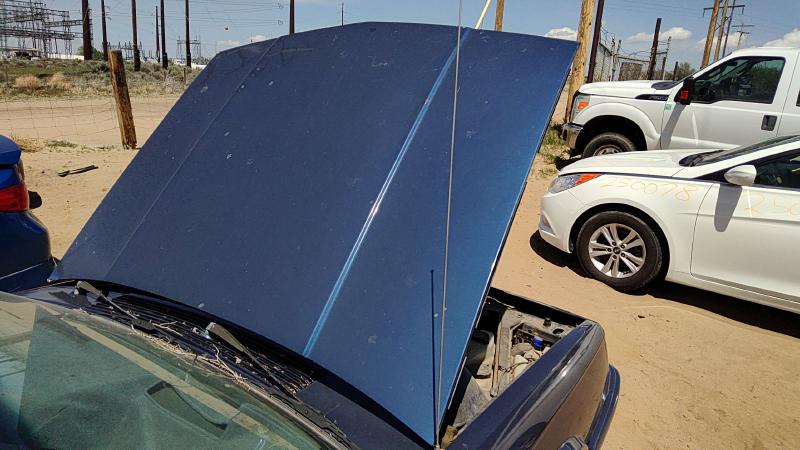 1982-1996 Olds Ciera Hood