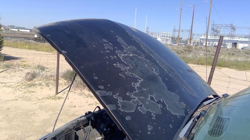 1994-2005 Blazer S10/jimmy S15 Hood