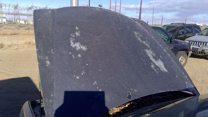 1997-2005 Buick Park Avenue (80&up) Hood
