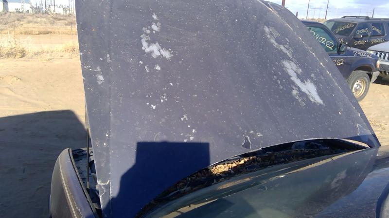 1997-2005 Buick Park Avenue (80&up) Hood