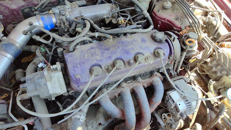 1994-1997 Honda Accord Cylinder Head