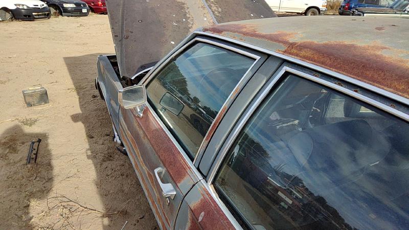 1980-1989 Cadillac Deville (80 & Up) Front Door LH