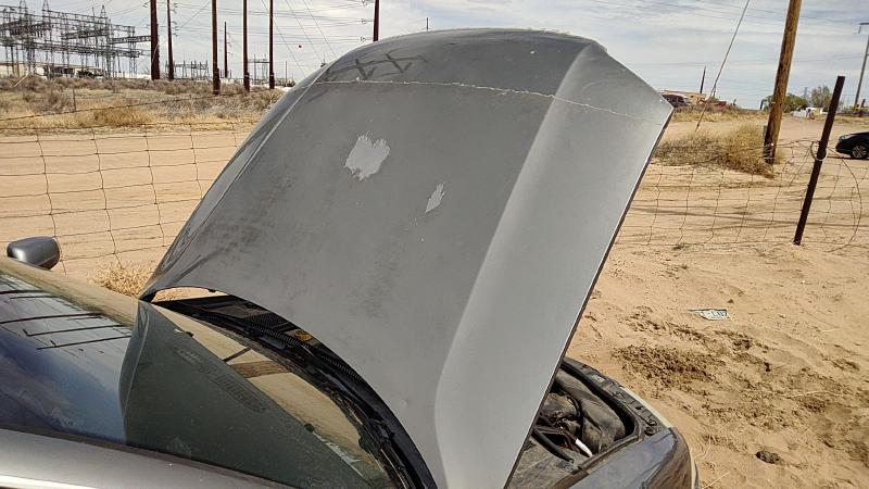 2001-2005 (discontinued) Passat Hood