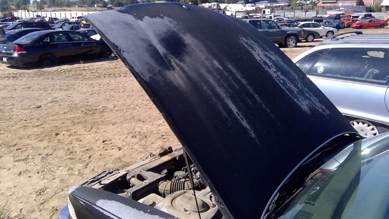 1991-1996 Buick Park Avenue (80&up) Hood