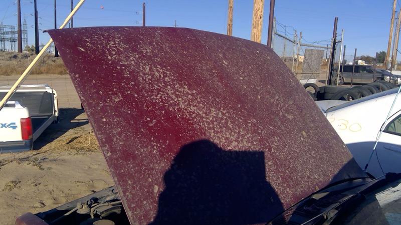 1981-1987 Isuzu Pickup Hood