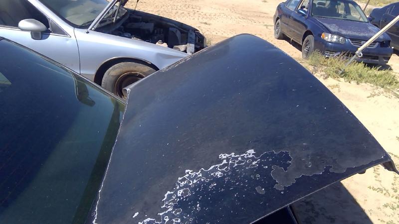 1991-1996 Buick Park Avenue (80&up) Trunk/Decklid/Hatch/Tailgate