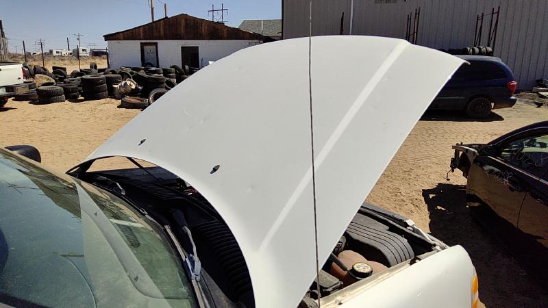 2002-2005 Explorer Hood