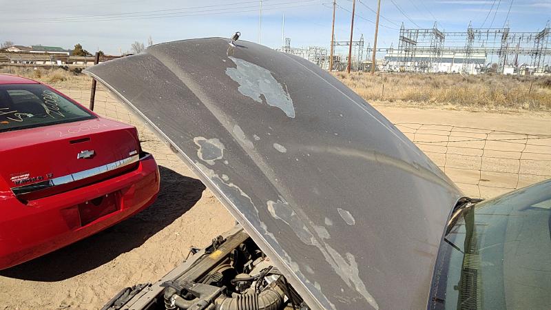 1991-1996 Buick Park Avenue (80&up) Hood
