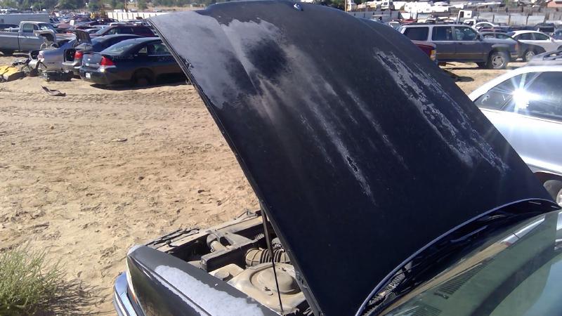 1991-1996 Buick Park Avenue (80&up) Hood