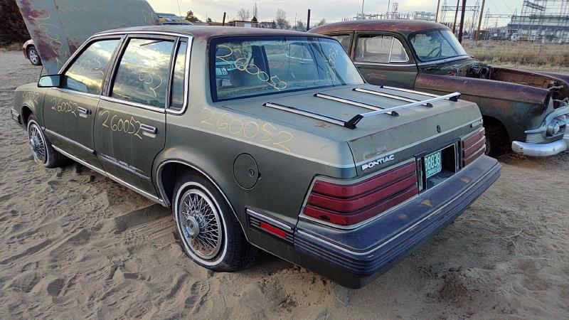 1982-1991 Pontiac 6000 Hood