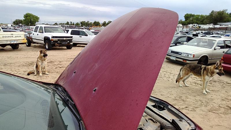 2008-2012 Malibu Hood