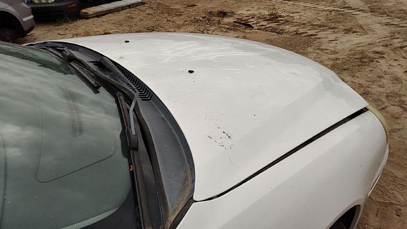 2000-2005 Sable (mercury) Hood
