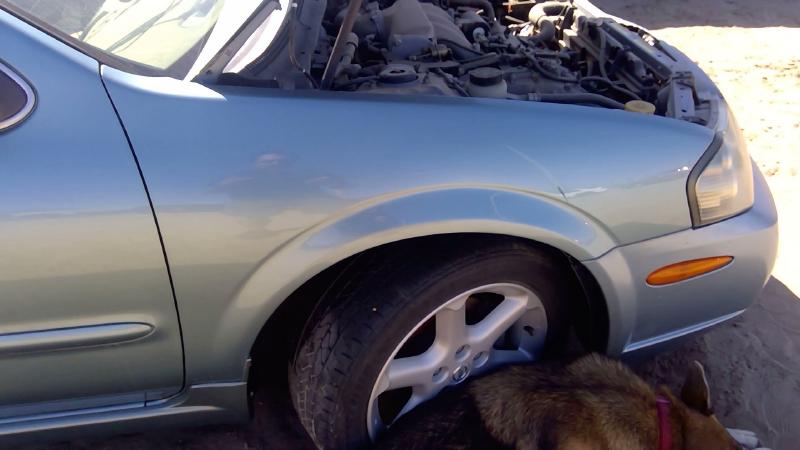 2000-2003 Nissan Maxima Fender RH